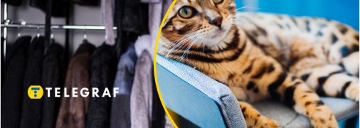 Незвичайну річ обговорюють у соцмережах