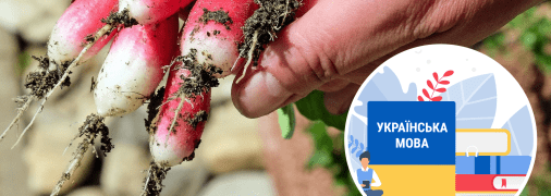 Колаж "Телеграфу"