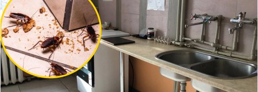 Гуртожиток