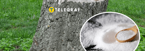 Колаж "Телеграфу"