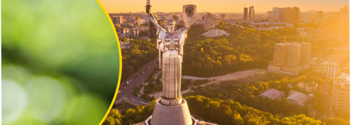 Опасное растение заметили в столице