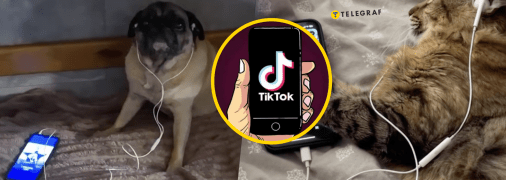 Колаж "Телеграф"