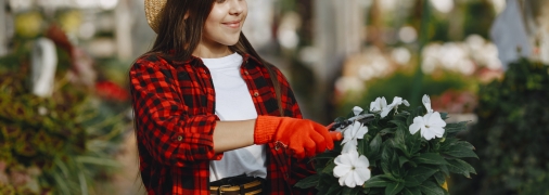 Обрезка в неподходящий сезон может навредить вашему саду
