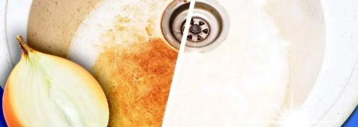 Лук – это не только приправа, придающая особый вкус нашим блюдам