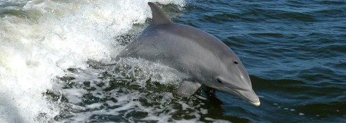 Ілюстративне фото