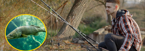 Рыбак с удочками