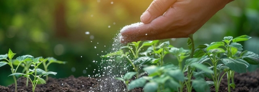 Сода является прекрасным удобрением для растений (изображение создано с помощью ИИ).