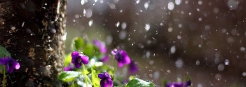 Прогноз погоды в Украине на 21 апреля