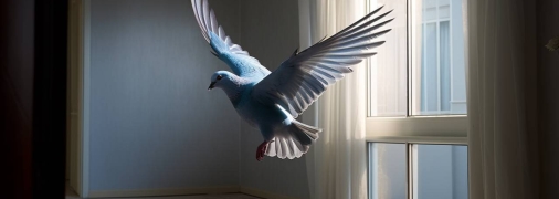 Такие знаки Вселенная дает не часто