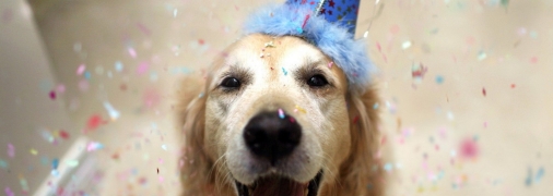 Гороскоп для Близнецов, Тельцов, Раков, Козерогов и Весов