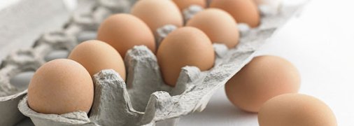 Производство яиц в Украине очень упало