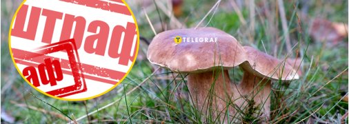 Відпочинок може закінчитись судом