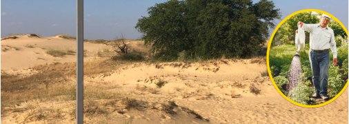 Олешковские пески в Херсонской области