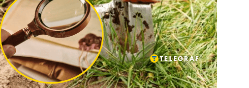 Українці знаходять у землі артефакти