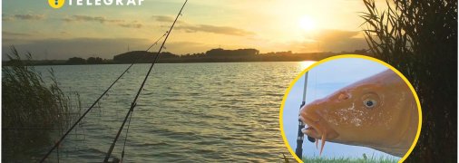 Українець похизувався величезною "золотою рибкою"