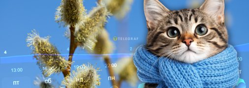Прогноз