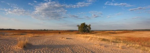 Кицівська пустеля