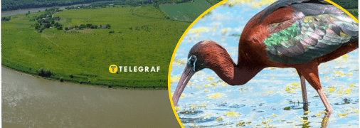 Каравайка на реке Днестр