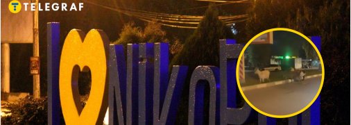 Никополь Днепропетровской области