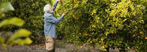 До настання холодів приділіть час саду