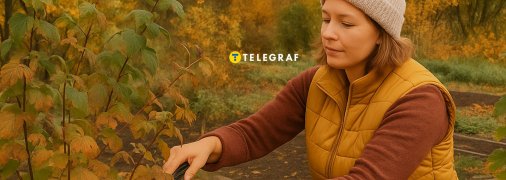 Як доглядати за ягідними кущами восени