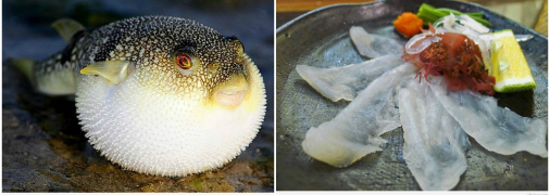 Фугу — це виклик для справжніх гурманів