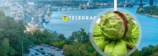 Де в Києві продають солодощі у вигляді каштана