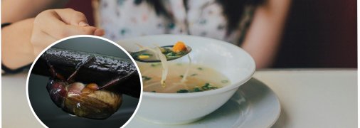 Суп из майских жуков