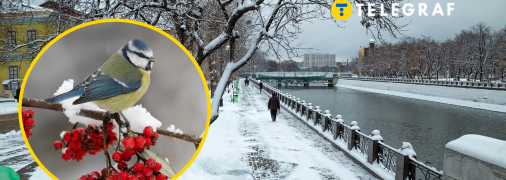 Погода в Украине