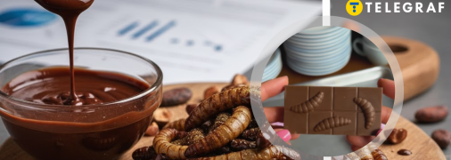 В Україні почала продавати шоколад із справжніми личинками