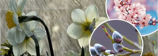 Прогноз погоди в Україні