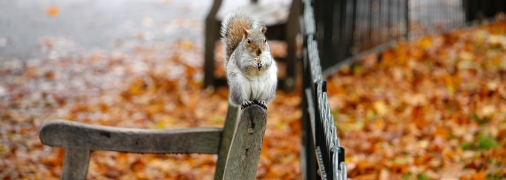Тепло надовго не затримається