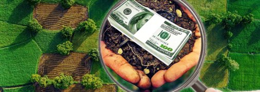С 1 июля в Украине заработает рынок земли: что важно знать (инфографика)