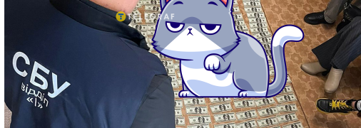 Кішка на грошах, які вилучили СБУ