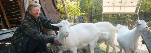 Лариса Ребристая со своими кормилицами