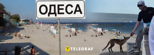 Не просто лис, а місцева зірка