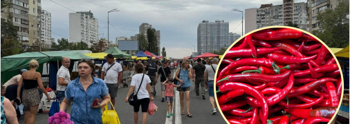 Отличная возможность сделать покупки