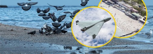 Птицы на море в Одессе, "Ланжерон" и шахед