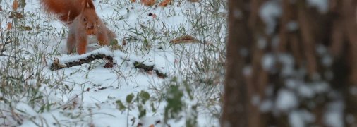 Погода в Киеве