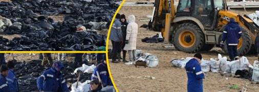 Пляжи Анапы и Новороссийска покрылись мертвыми птицами и дельфинами