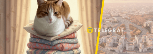 Кіт із власним ліжком з Харкова став інтернет-зіркою