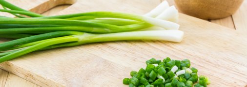 Начинки из зеленого лука для пирожков: 3 самых вкусных рецепта