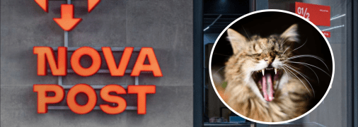 Новий кіт на "Новій пошті"
