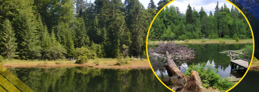 Дике озеро в Карпатах