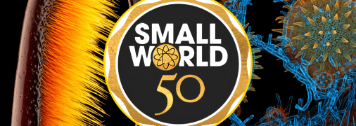 Иллюстративное фото