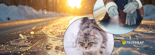 Чим посипати доріжки, щоб жоден котик не постраждав