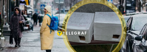 Украинка показала самодельные домики для кошек