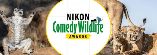 Ілюстративне фото