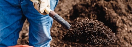 Компост – подкормка для растений