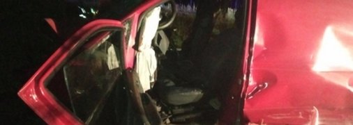 Переполненный людьми бусик врезался в дерево: погибла женщина, еще шесть человек пострадали на Житомирщине(фото)